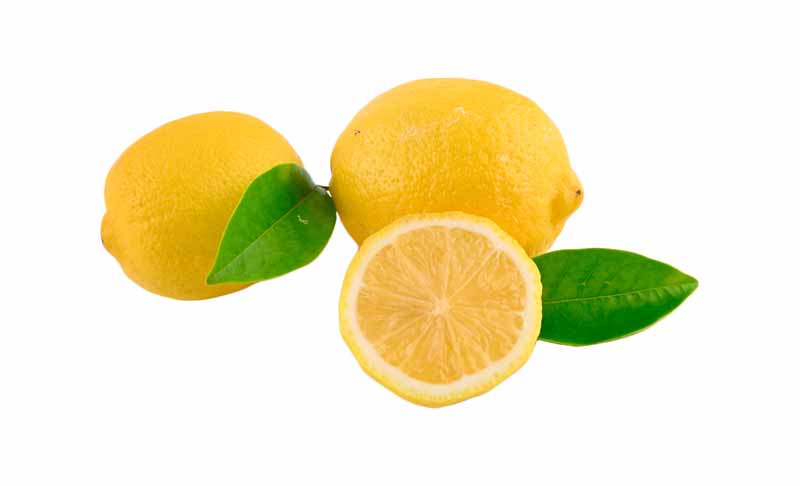 طرح میوه لیمو ترش