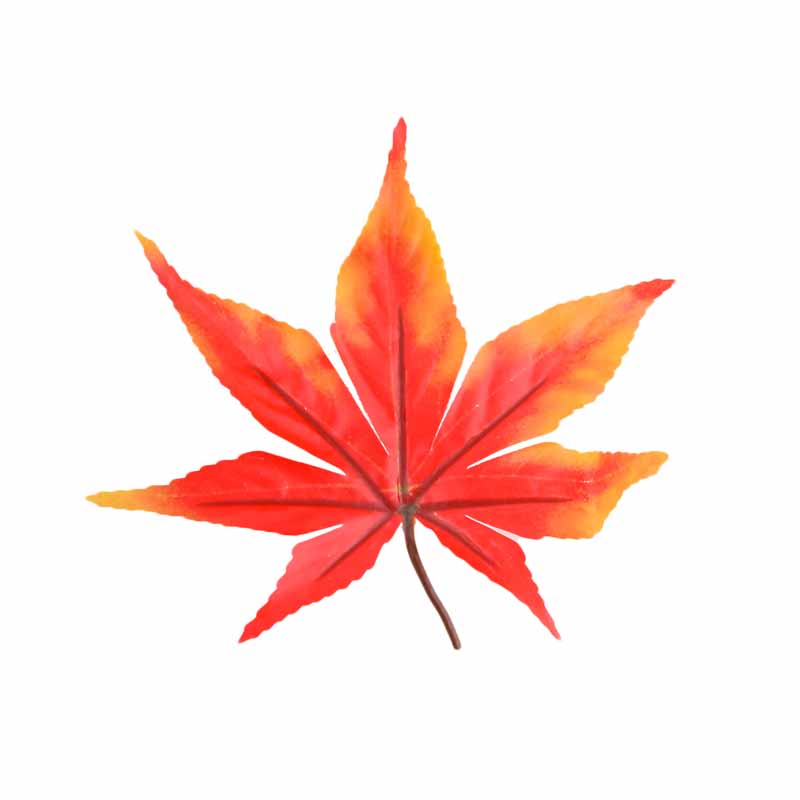 طرح برگ خزان پاییزی