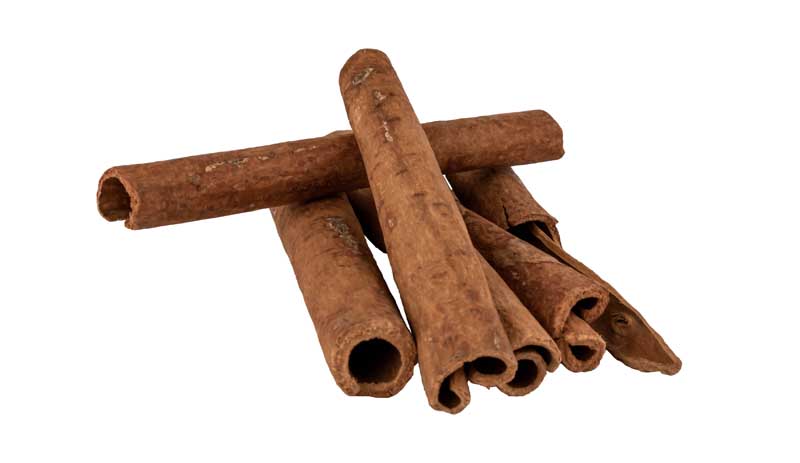 دانلود طرح دارچین