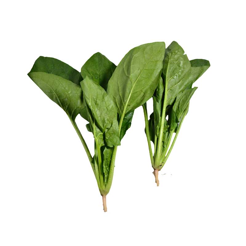طرح سبزی اسفناج