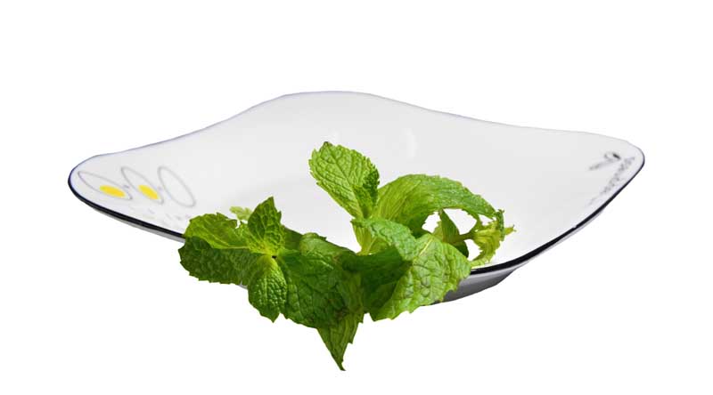 طرح سبزی نعناع داخل بشقاب