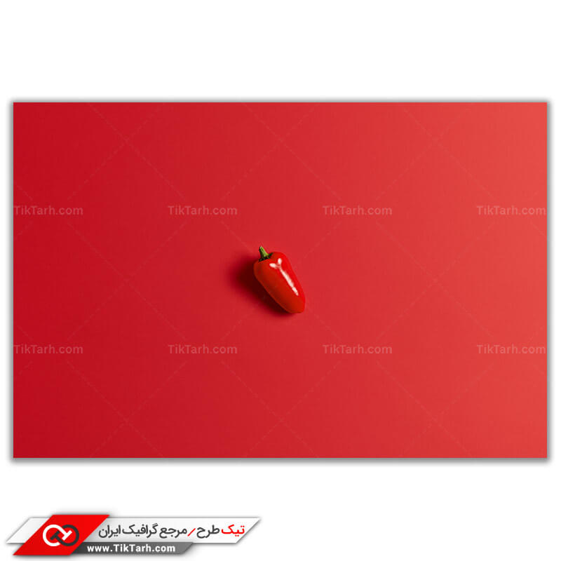 تصویر با کیفیت از یک فلفل