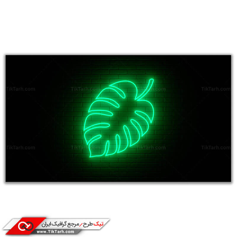 تصویر باکیفیت برگ با نور