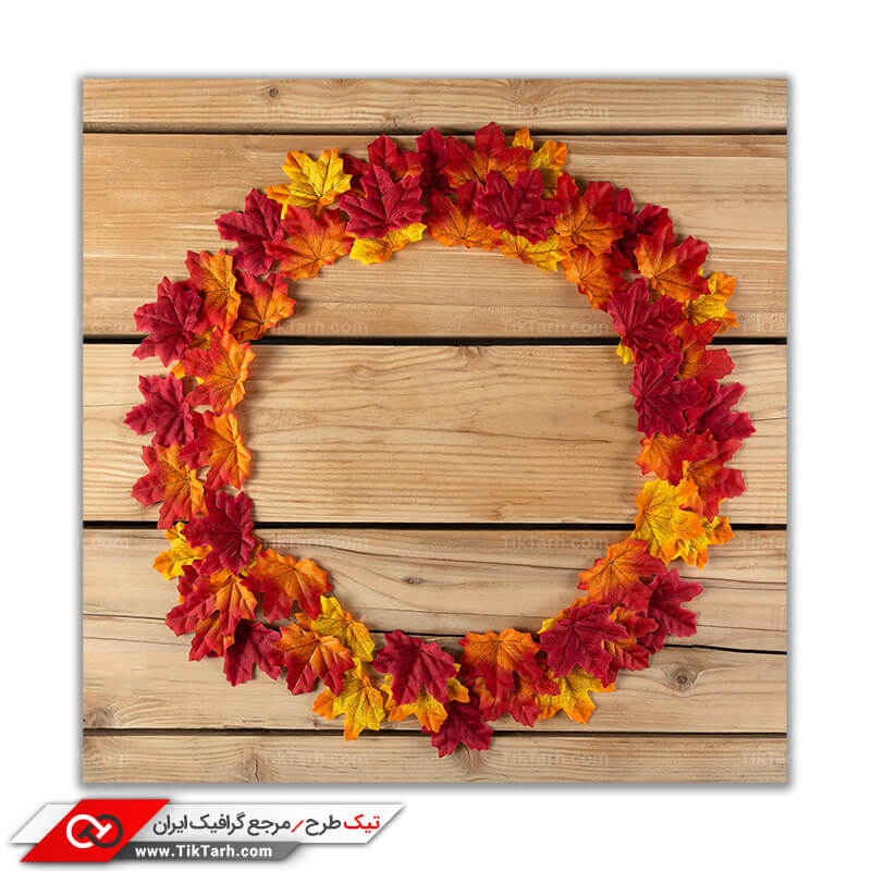 تصویر باکیفیت برگ خشک دایره ای