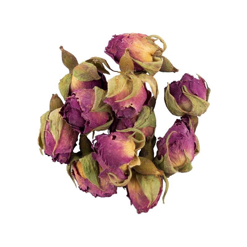 دانلود طرح گرافیکی گل محمدی خشک