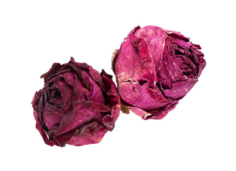 طرح با کیفیت گرافیکی گل محمدی خشک