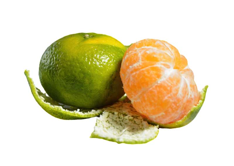 طرح باکیفیت میوه نارنگی