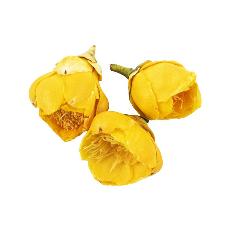 طرح گل های زرد