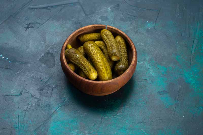 تصویر باکیفیت پیاله خیارشور