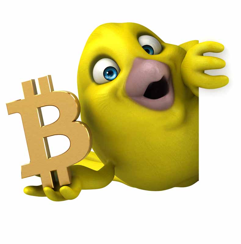 عکس کارتونی گنجشک و آیکون بیت کوین