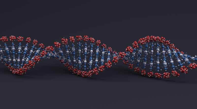 دانلود تصویر لارج فرمت DNA