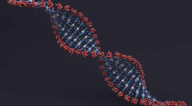 تصویر لارج فرمت DNA