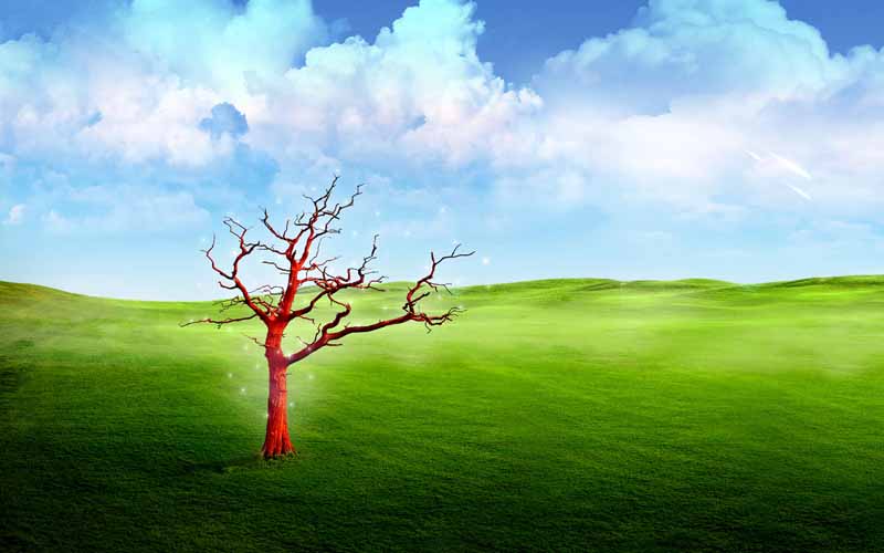 عکس فانتزی دشت سرسبز و آسمان ابری