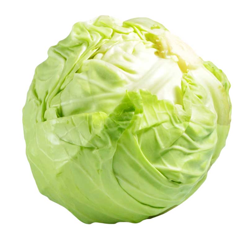 دانلود طرح کلم