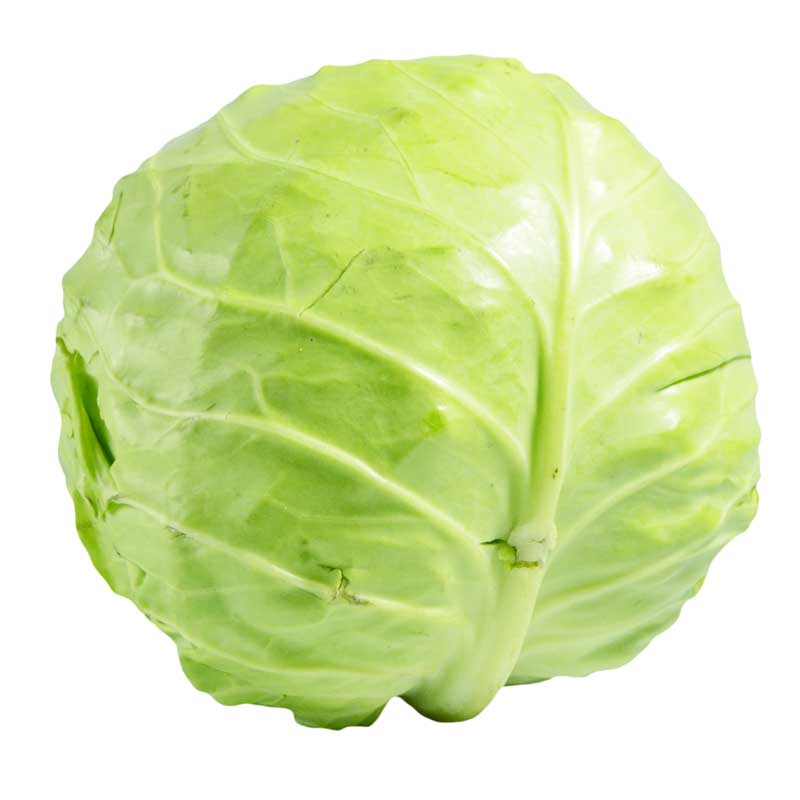طرح کلم سبز