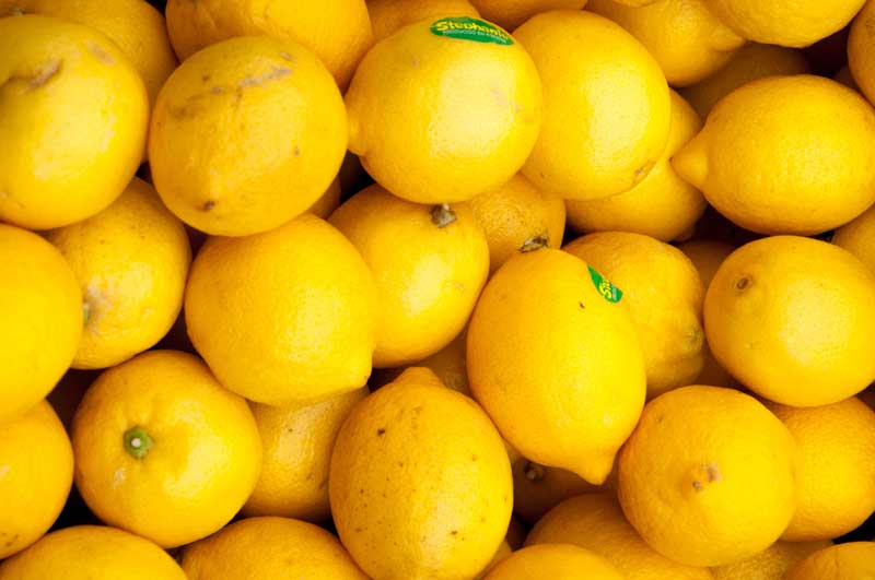 دانلود تصویر لیمو ها از نمای نزدیک