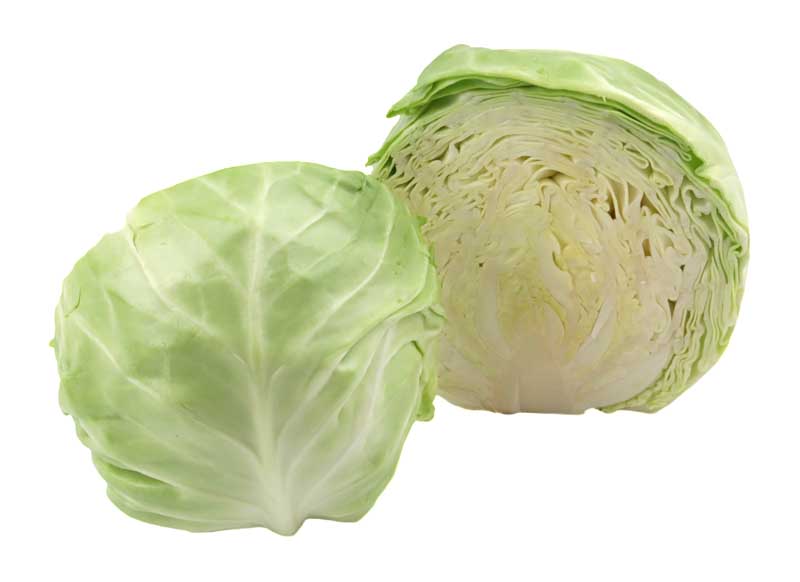 دانلود طرح کلم ها