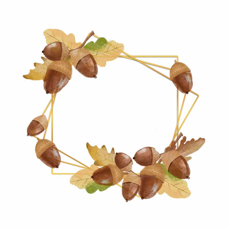 طرح لایه باز کلیپ آرت میوه بلوط