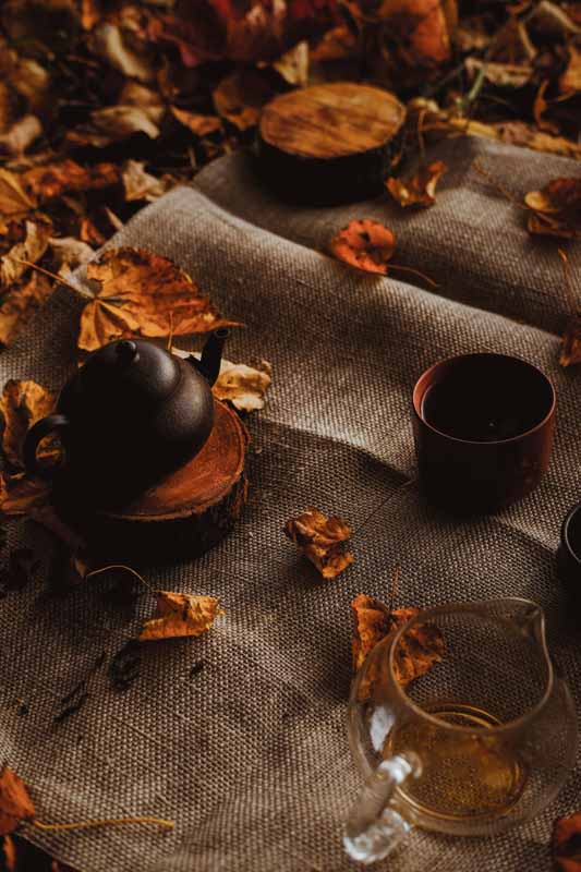 تصویر سرویس چای خوری با تم پاییز