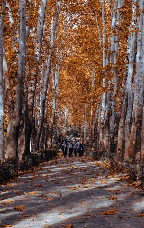 تصویر مسیر پیاده روی پاییزی در ایران