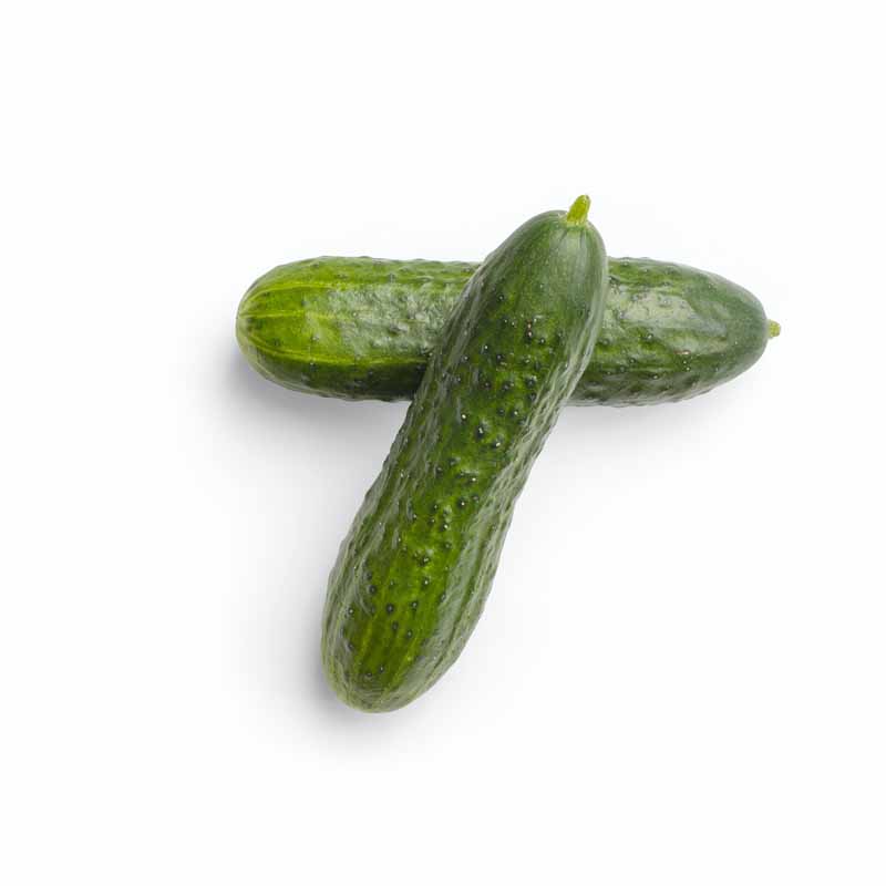 دانلود تصویر دو عدد خیار