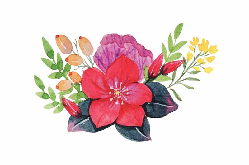 طرح لایه باز کلیپ آرت انواع گل