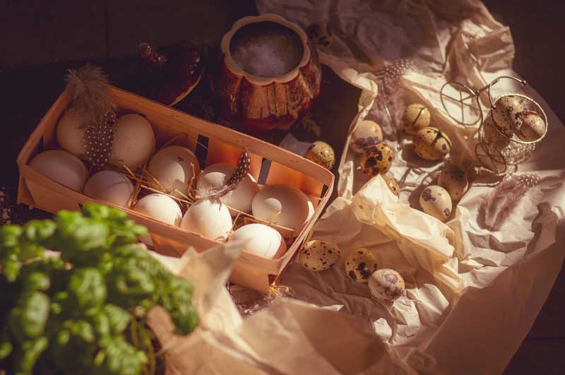 دانلود عکس تخم مرغ و تخم بلدرچین
