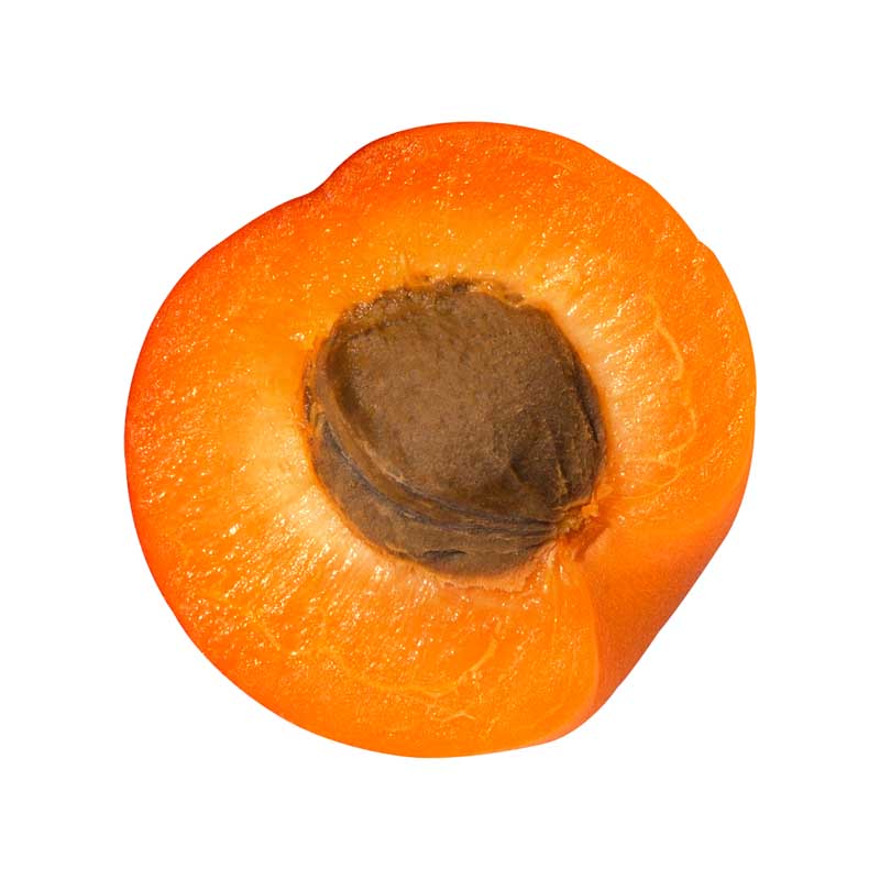 دانلود طرح زردآلو