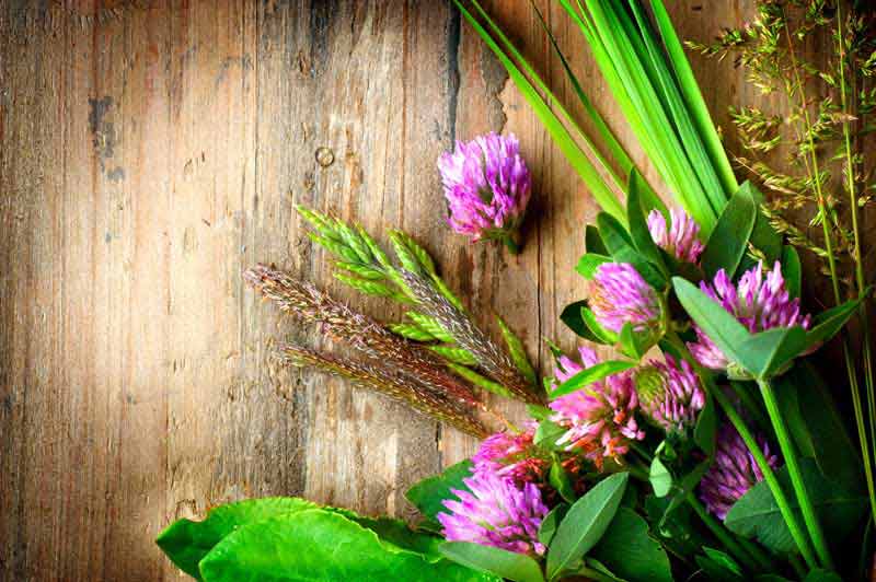 دانلود عکس گلهای بنفش روی تخته چوبی