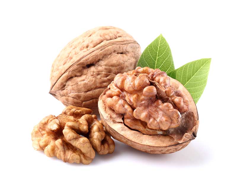 عکس با کیفیت گردو و مغز گردو