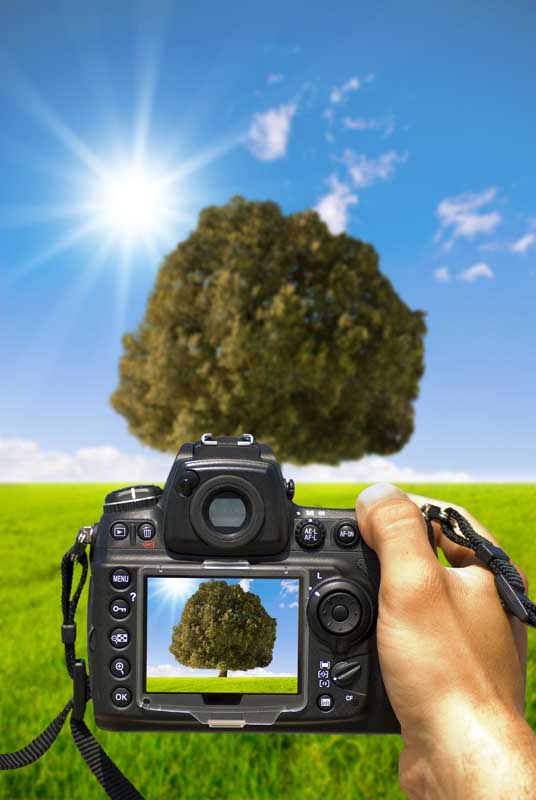 دانلود تصویر عکاسی از طبیعت