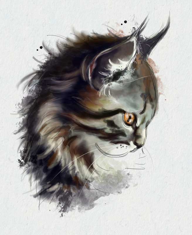 دانلود تصویر نقاشی گربه خانگی
