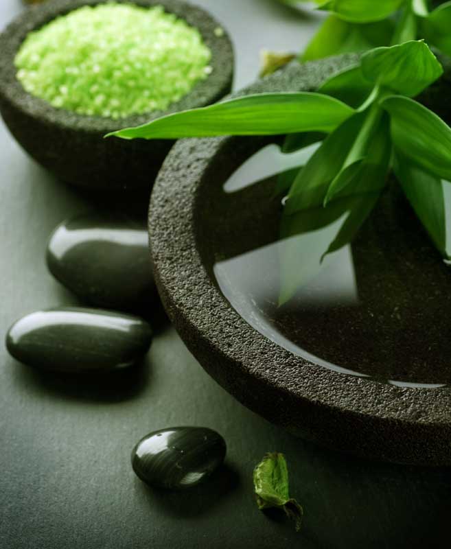 عکس لارج فرمت ظرف سنگی و برگ سبز
