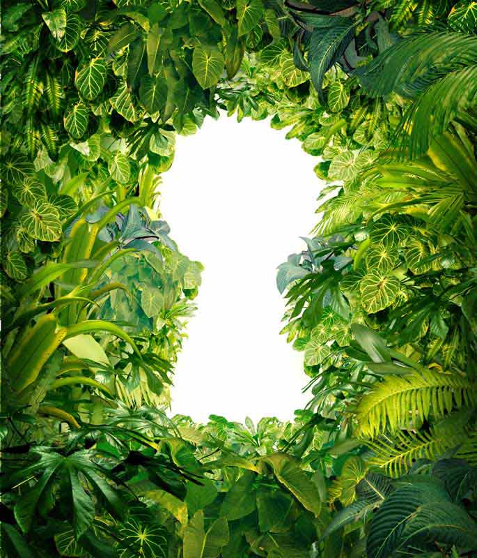 دانلود تصویر با کیفیت دریچه ورود به موفقیت
