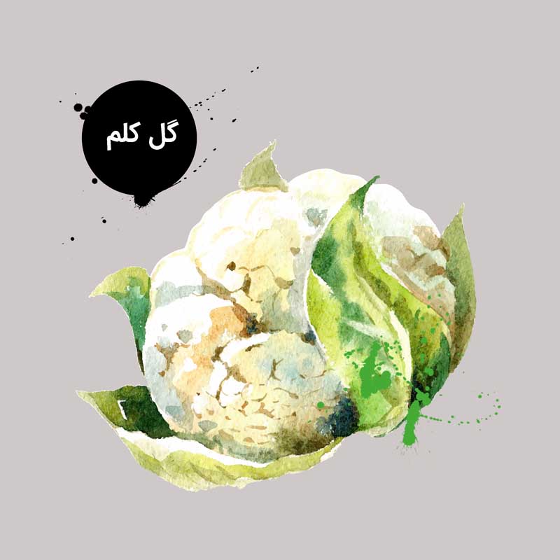 کلیپ آرت لایه باز گل کلم