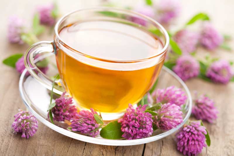 دانلود تصویر زیبای از چای و گل شبدر