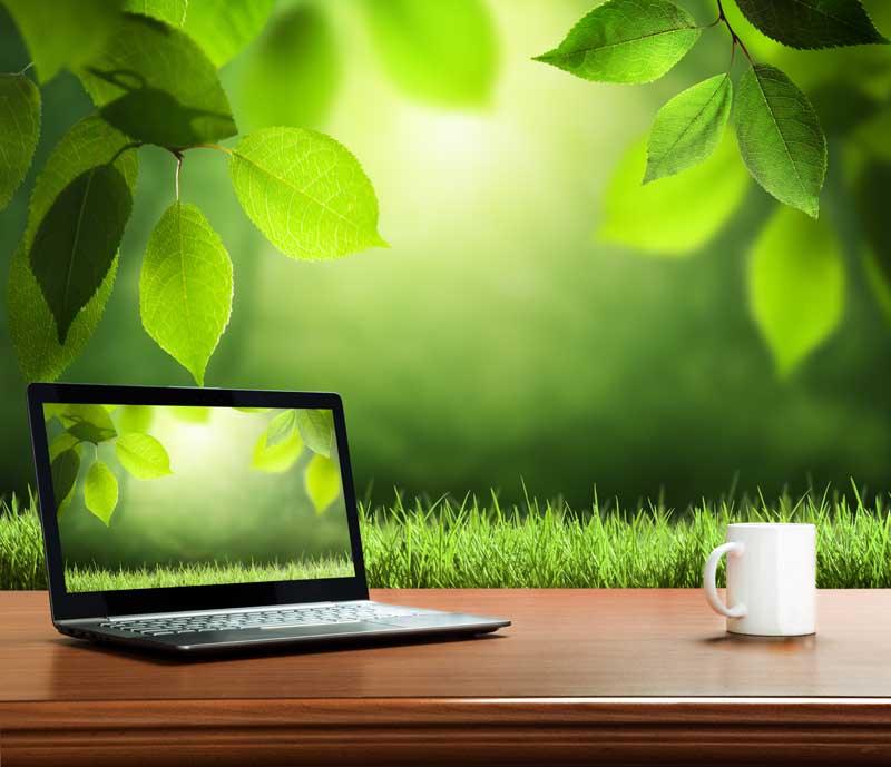 تصویر زیبا از لپتاپ و طبیعت سبز