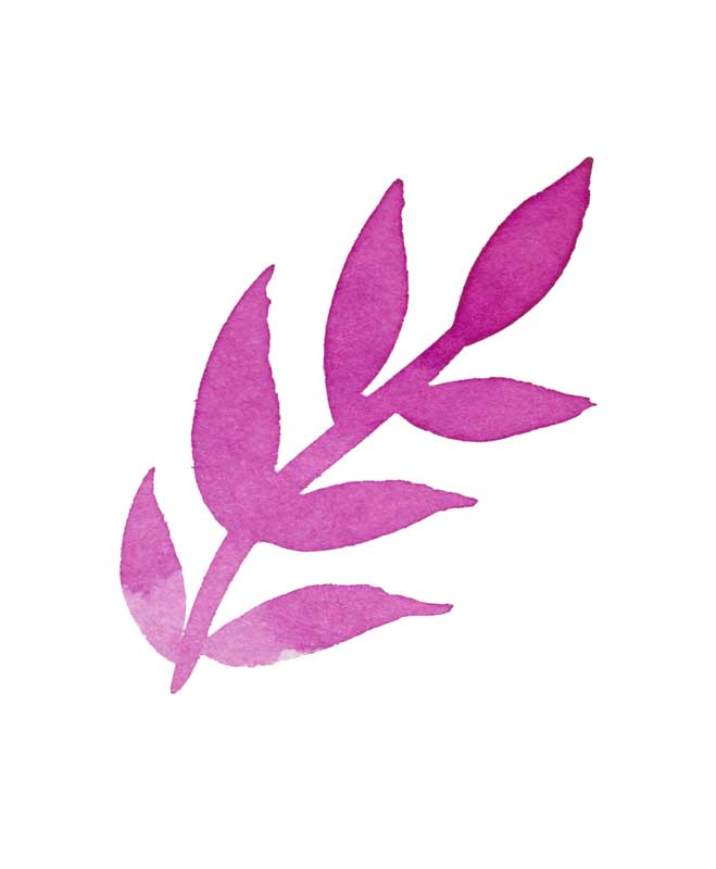 طرح کلیپ آرت ساقه