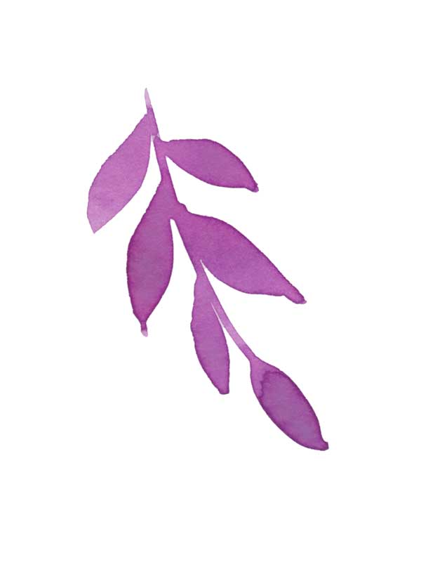 طرح کلیپ آرت برگ
