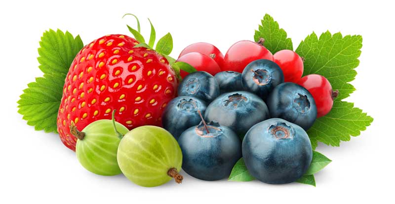 دانلود تصویر زیبا از خیارچه و توت فرنگی