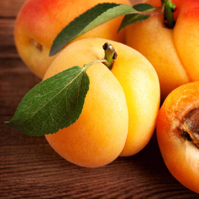 تصویر زیبا از زردالوی آبدار