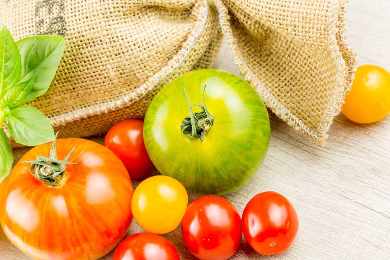 عکس زیبا از گوجه های رنگی