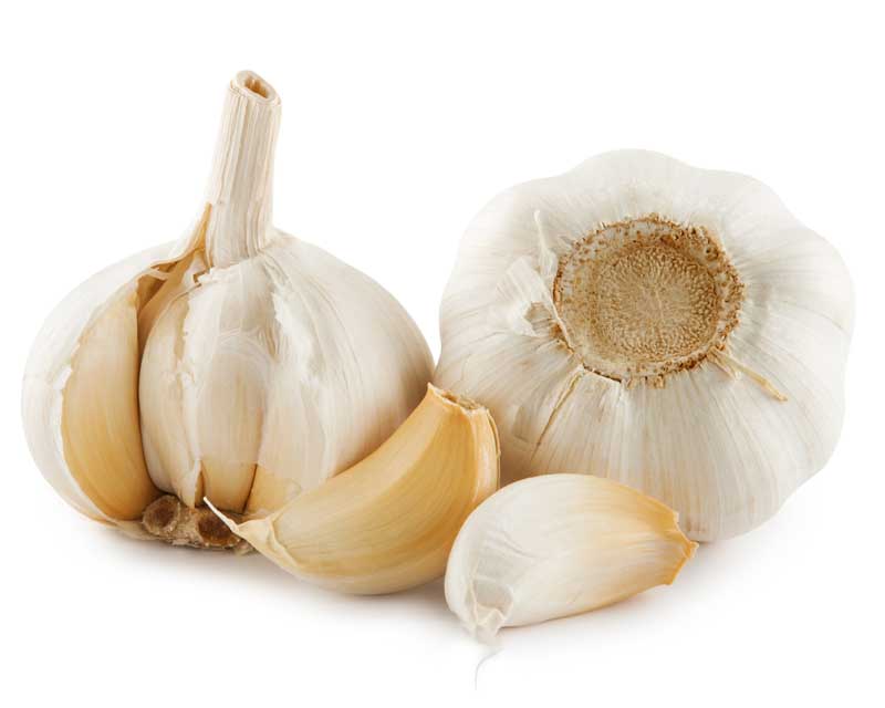 عکس زیبا از دو عدد سیر