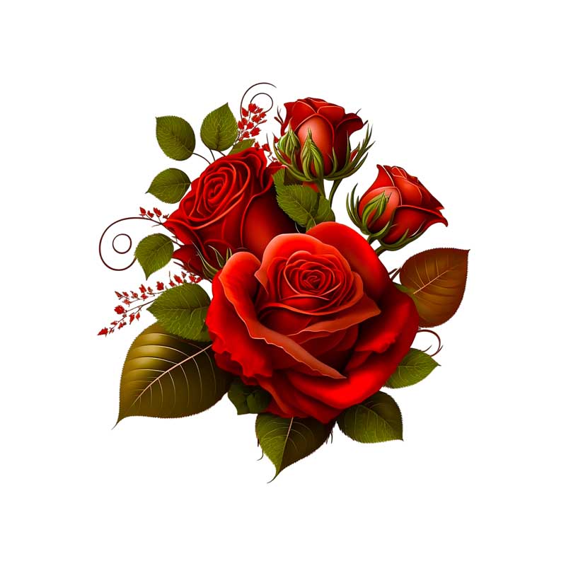 کلیپ آرت لایه باز گل و غنچه رز