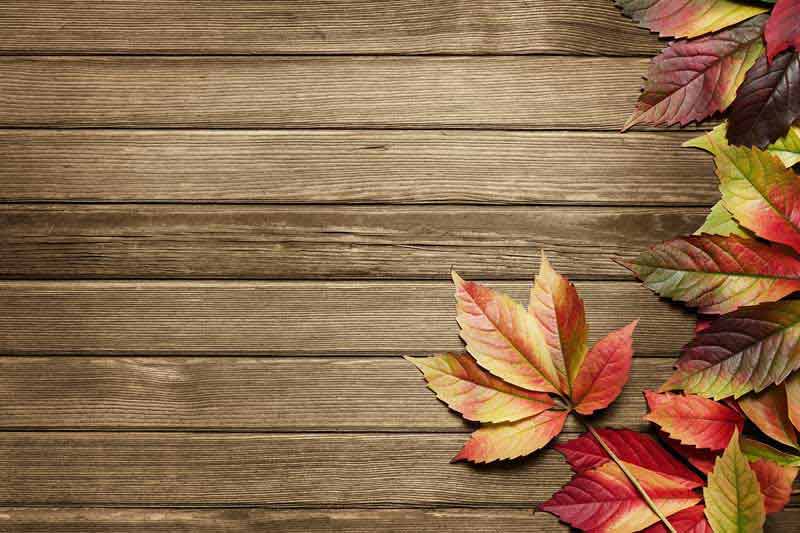 تصویر از برگ های زرد پاییزی