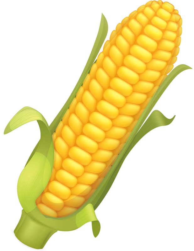 دانلود طرح بلال