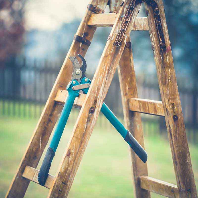دانلود تصویر با کیفیت قیچی آهن بر روی نردبان
