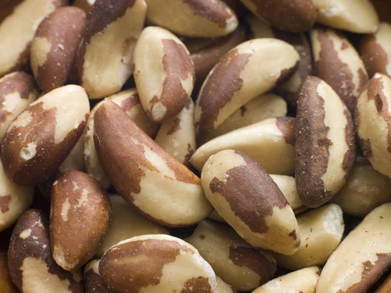 عکس لارج فرمت از بادام زمینی