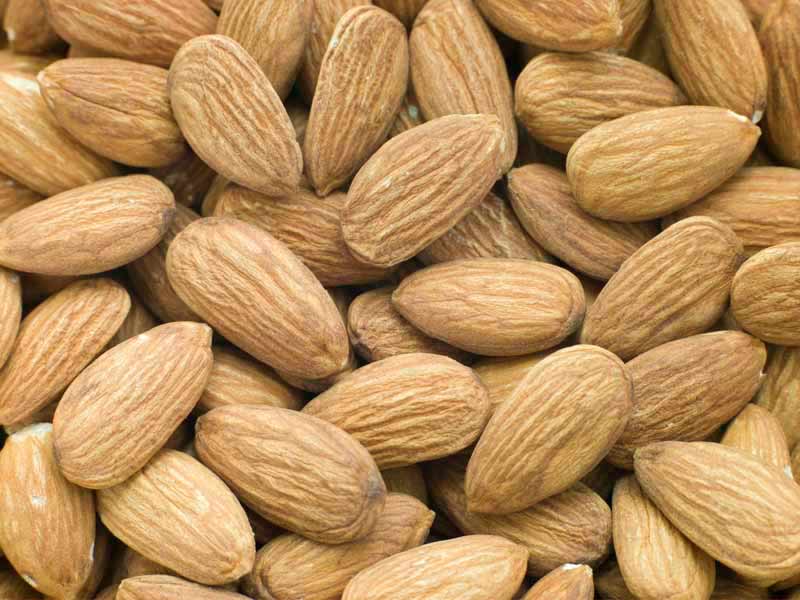 عکس زیبا از مغز بادام