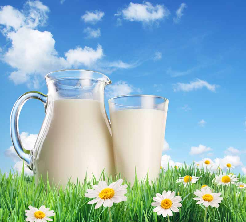 دانلود عکس زیبا از پارچ شیر در چمنزار